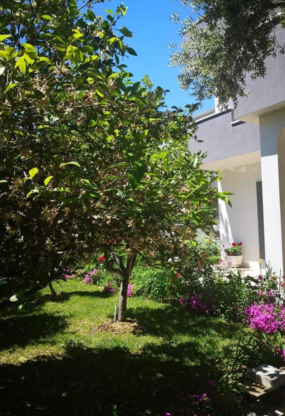 Apartmani Dianna คาชเตลา ภายนอก รูปภาพ